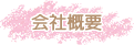 ЊTv